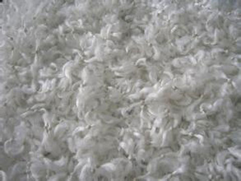 ����ʽ�w�S�V��