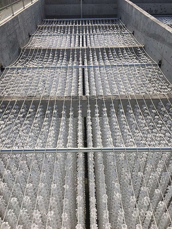 �M���������a��