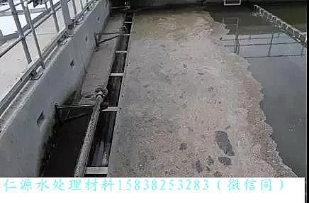 ��Դ��x�Ӿ۱�ϩ����HPAM�S�Ҏ����߽�������Wassmannsdorf ��ˮ̎��S