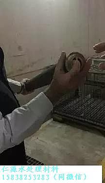 ��Դ��x�Ӿ۱�ϩ����HPAM�S�Ҏ����߽�������Wassmannsdorf ��ˮ̎��S