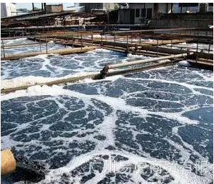 ʯӢɰ�V�����a�S����ʷ��