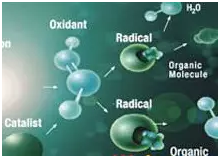 ʯӢɰ�V�����a�S����ʷ��