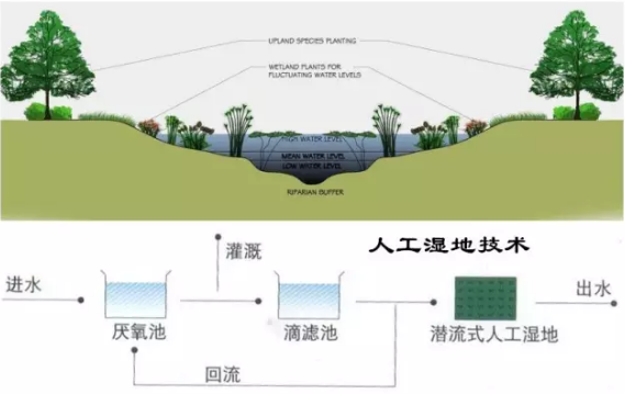 ʯӢɰ�V�����a�S����ʷ��