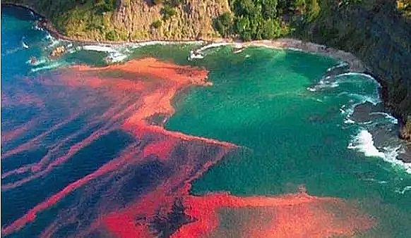 ���������V�ϏS��Ԕ��ˮ�w���I�B(y��ng)�����򡢷���ԭ���ͼ��g(sh��)��ʩ