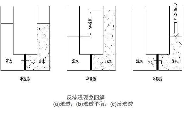 Ҭ������̿���a(ch��n)�S�Ҟ���ȫ��������B͸��(n��i)���Y(ji��)��(g��u)������ԭ��