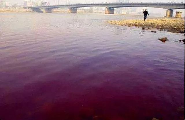 ���F�ۺ��Ȼ��XPAC�S������h(hu��n)�����조���^���������Mչ!