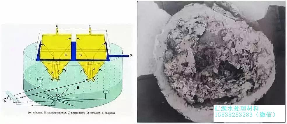 ���d�F�V�ϳ������S��Ԓ�f�������g��ǰ������