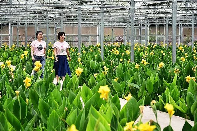 聚合氯化鋁PAC廠家—“綠色家族”為何與可持續發展漸行漸遠