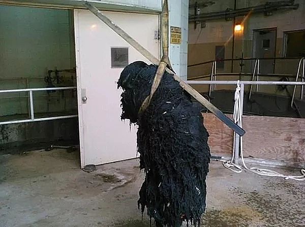 Ҭ������̿���a(ch��n)�S��������ˮ̎��Sÿ���Ƴ�1������