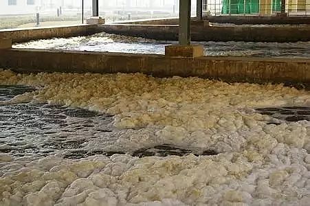 ��x�Ӿ۱�ϩ�����S���P��������Û�����@һƪ�͉���