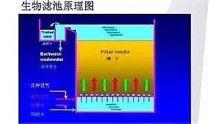 核桃殼濾料生產(chǎn)廠家污水處理工藝類型大全