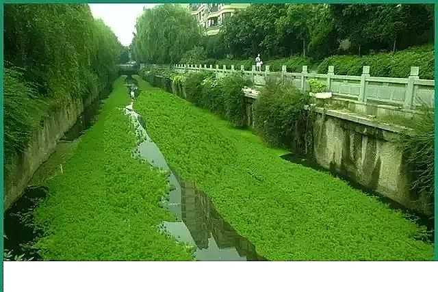 �۱�ϩ����PAM���a(ch��n)�S(ch��ng)�ҿ��Y(ji��)�ӵ������`�^(q��)�����������������