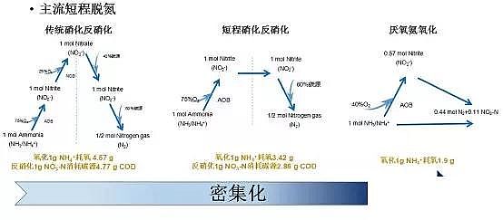 ��ˮ���ۺ��Ȼ��XPAC�S��δ����ˮ̎�����g�İlչ��������