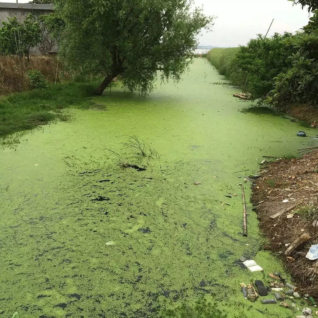 ��������ʯ�V�����a(ch��n)�S�Ұ����Uˮ�ā�(l��i)Դ�cΣ��