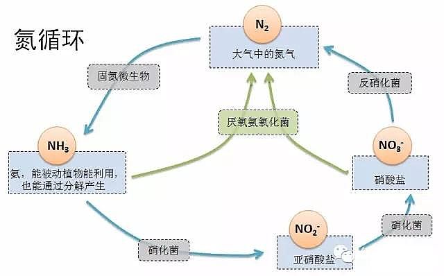 �w�S��V�ϏS�҅�����������ȫ��İlչ