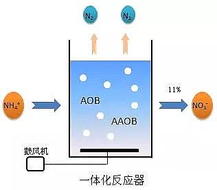 �w�S��V�ϏS�҅�����������ȫ��İlչ