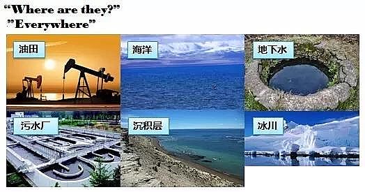 �w�S��V�ϏS�҅�����������ȫ��İlչ