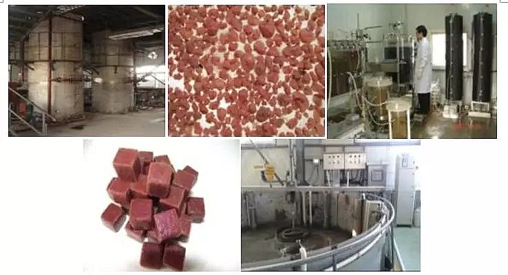 �w�S��V�ϏS�҅�����������ȫ��İlչ