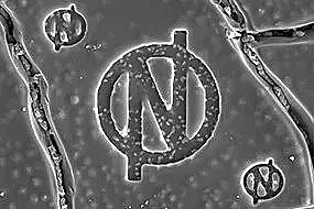 �Y(ji��)���Ȼ��X���a(ch��n)�S(ch��ng)�ҬF(xi��n)��(ch��ng)���ȼ��g(sh��)�O(sh��)�䌢�����10�����ˮ�S(ch��ng)Ͷ��ʹ��