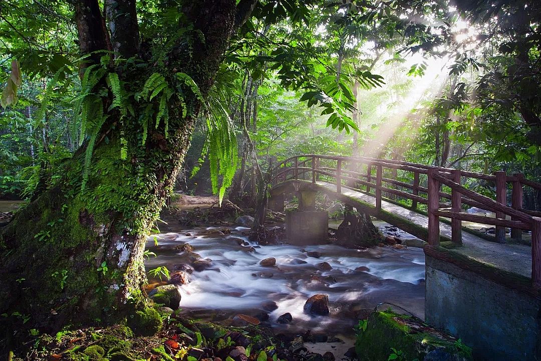 HPAM��x�Ӿ۱�ϩ�����S�ң�����ˮ�����ѽ�(j��ng)������45�|�꣬�Ҳ���Ҫ���