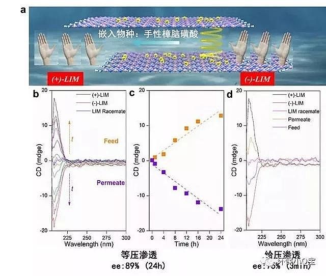 優(yōu)質(zhì)泡沫濾珠濾料EPS廠家中國科大在二維分離膜的高效選擇性滲透研究取得進展