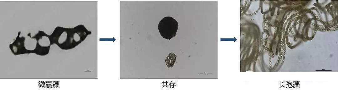 ������s�����ϏS�Һ������I�B����������?߀�ǿص�?