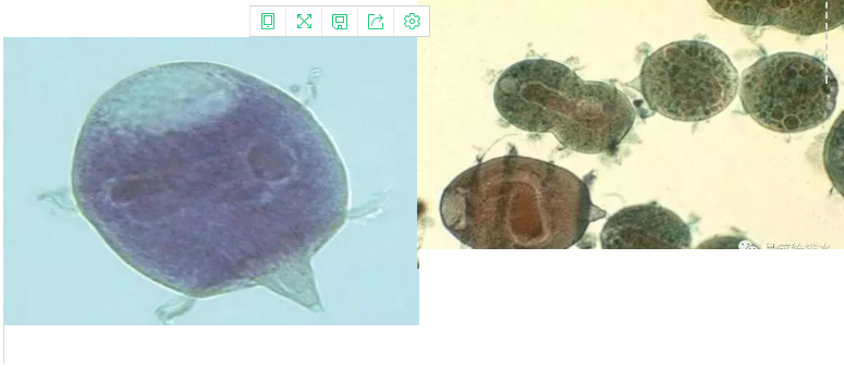 ��(y��u)�|(zh��)�����V�ϏS����ˮ̎��ָʾ��΢�����ȫ!����������