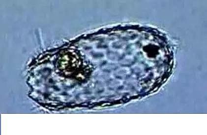 ��(y��u)�|(zh��)�����V�ϏS����ˮ̎��ָʾ��΢�����ȫ!����������