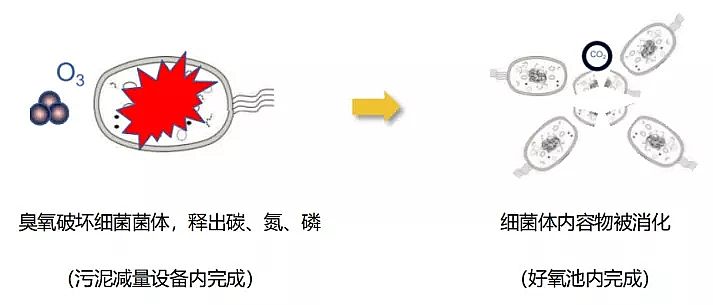 2019������ʽ�w�S�V�����a(ch��n)�S�ҷ���Һ���՚���ˮ̎���ИI(y��)�đ�(y��ng)�ü��g(sh��)�ͷ���(w��)