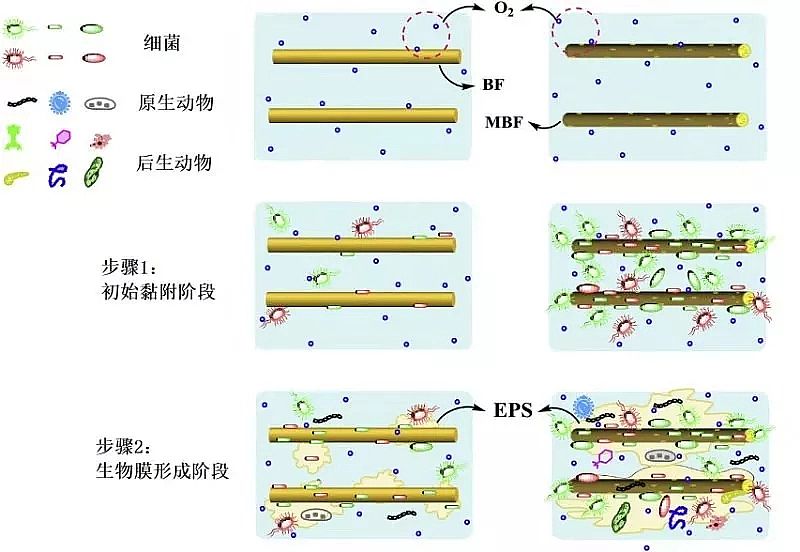 ��Դˮ̎���w�S��V�ϏS�Ҹ�������r�w�S���ϵ�ˮ̎�����g(sh��)����(y��ng)��