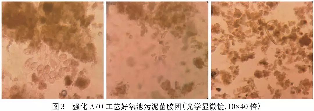 ��Դˮ̎���w�S��V�ϏS�Ҹ�������r�w�S���ϵ�ˮ̎�����g(sh��)����(y��ng)��