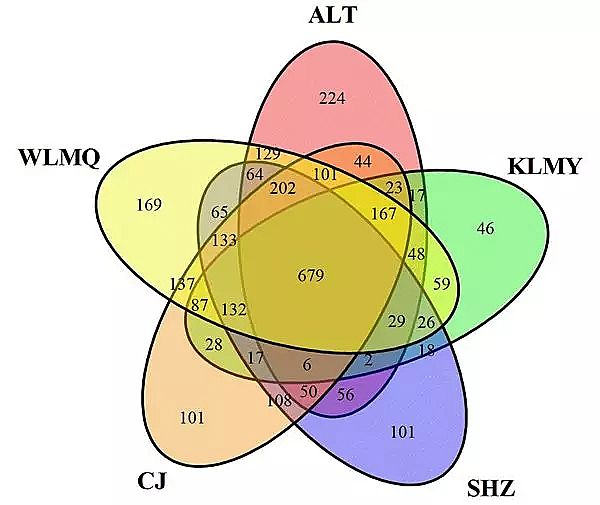 ���ƽY(ji��)���Ȼ��X���a(ch��n)�S�Ҹɺ�����؅^(q��)�����Ϲ�ˇ��������ľ�Ⱥ�Y(ji��)��(g��u)