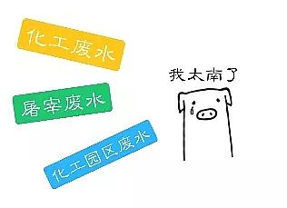 2019��ۺ��Ȼ��FPAFC�S�ҹ��I��I����̎��̫���ϡ�?