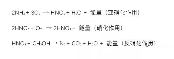 2019年沸石濾料生產廠家看完這篇文章你就會秒懂總氮丶氨氮丶硝酸鹽氮丶亞硝酸鹽氮丶凱式氮