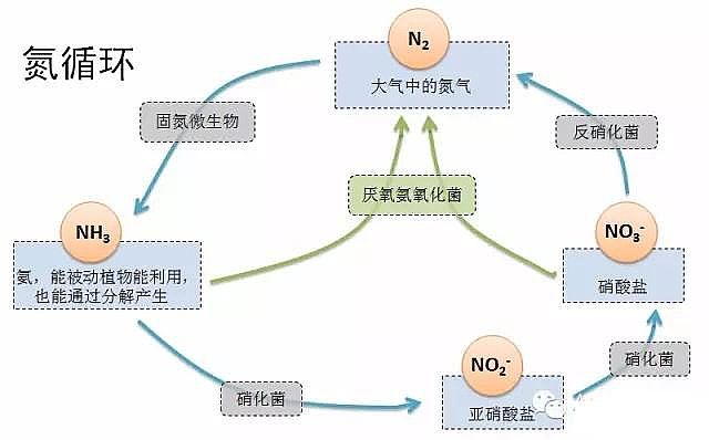 2020����x�Ӿ۱�ϩ�����S�҅�����������������ˮ��̎�팍�H��(y��ng)��