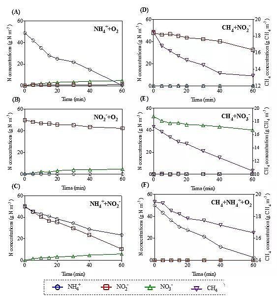 2020���ؚ������a(ch��n)�S��һ��ʽ��ȫÓ���¼��g(sh��)PNAM���̳�����+����������+������������