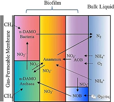 2020���ؚ������a(ch��n)�S��һ��ʽ��ȫÓ���¼��g(sh��)PNAM���̳�����+����������+������������