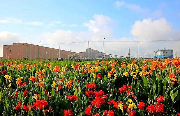 2020��ۺ��Ȼ��FPAFC�S���_��(chu��ng)BOOұ���ИI(y��)�h(hu��n)��������ģʽ