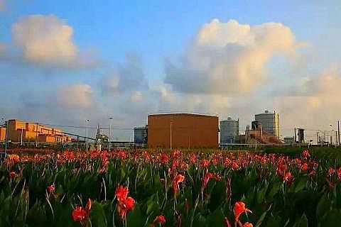 2020��ۺ��Ȼ��FPAFC�S���_��(chu��ng)BOOұ���ИI(y��)�h(hu��n)��������ģʽ