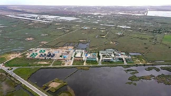 2020��Y(ji��)���Ȼ��X���a(ch��n)�S�����ۿڔ�(sh��)ǧ���lΣ�~p���ɣ��S�ӌ�ӭ���(y��n)�O(ji��n)��