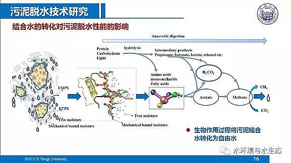ˮ̎��V�ϏS����ĭ�V��V��EPS������ˮ�S����̎�ù�ˇ���g·��