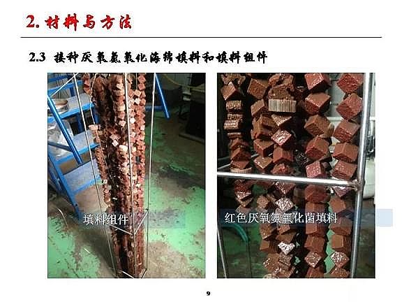 ���|�w�S���������a�S�ҳ�����ˮ����������Ó���о�