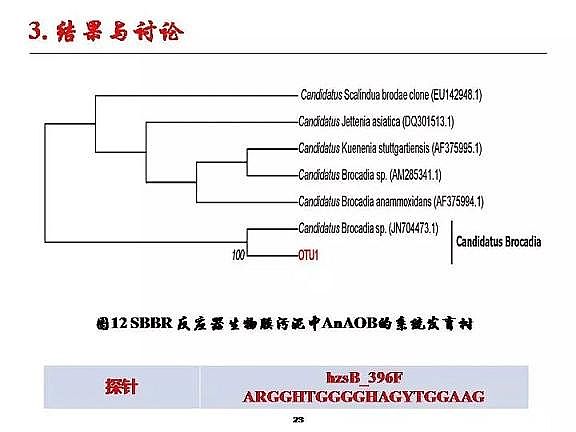 ���|�w�S���������a�S�ҳ�����ˮ����������Ó���о�