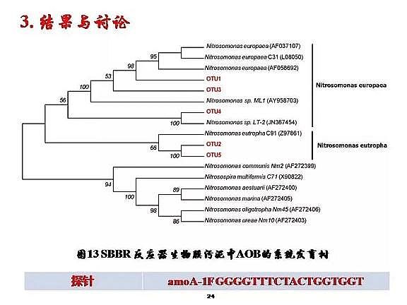 ���|�w�S���������a�S�ҳ�����ˮ����������Ó���о�