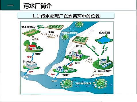 ��Ч�F̼΢늽��������a(ch��n)�S����ˮ̎��S����֪�R-�������c�O��