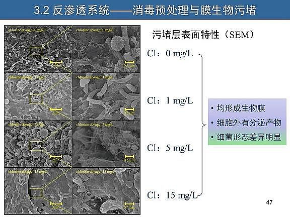 ��Ч�w�S��?y��n)V�����a(ch��n)�S��ˮ�������c��ˮ����̎����ˇ�\����(y��u)������