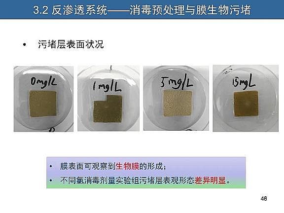 ��Ч�w�S��?y��n)V�����a(ch��n)�S��ˮ�������c��ˮ����̎����ˇ�\����(y��u)������