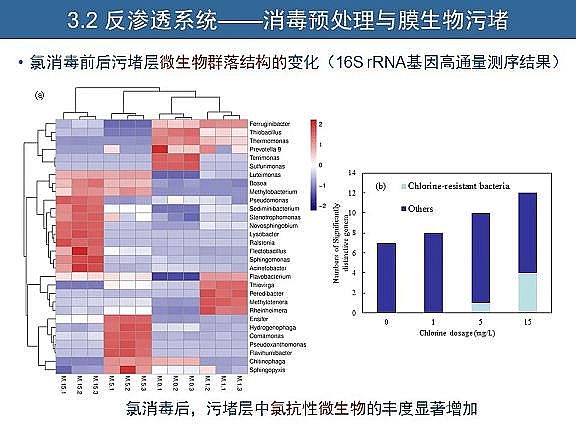 ��Ч�w�S��?y��n)V�����a(ch��n)�S��ˮ�������c��ˮ����̎����ˇ�\����(y��u)������