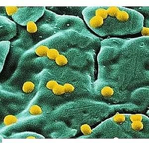 ��Դˮ�����ϰ���ȥ�����S�Ҽ��g·������\��Մ����