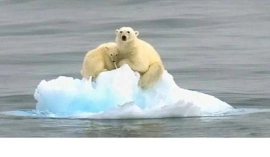 ˮ̎���������w�����������a�S������ˮ�ա���݋ˮ�c���׃��